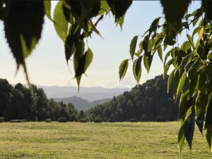 casasaies, l'era i els boscos